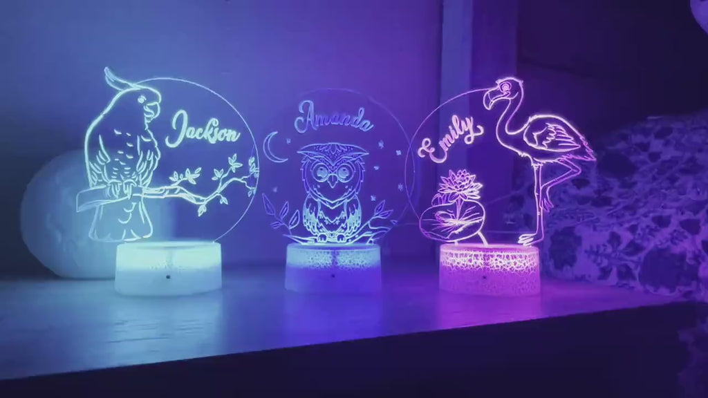 Kids Personalized Acrylic Night Light Laser Kids Birds | Perfect Birthday Gift for Girls and Boys | Custom Handmade Bedroom Decors