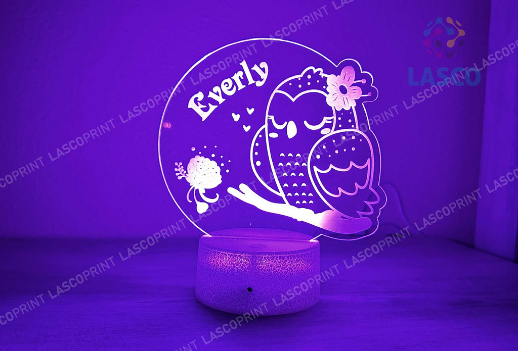 Kids Personalized Acrylic Night Light Laser Kids Sleeping Owls | Perfect Birthday Gift for Girls and Boys | Custom Handmade Bedroom Decors